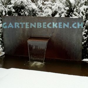 Winter 004